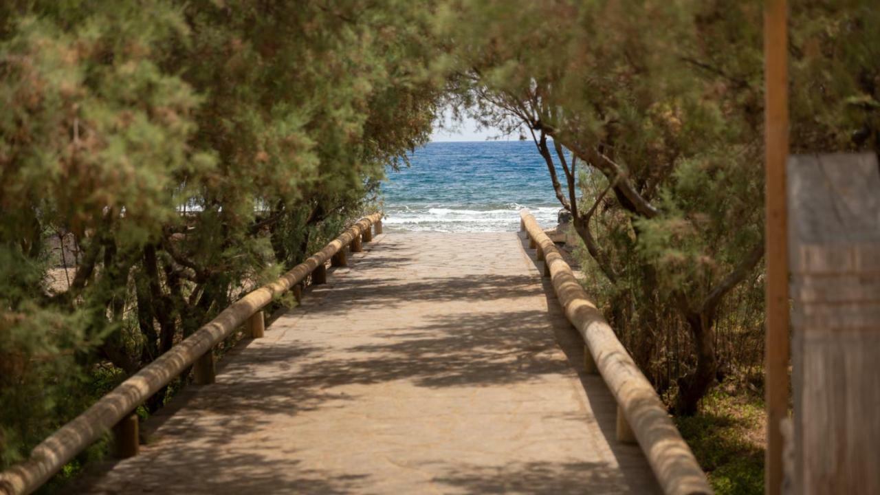 شقة Riazor, El Medano Beach المظهر الخارجي الصورة